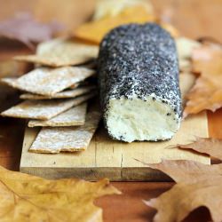 Petrified Cheese