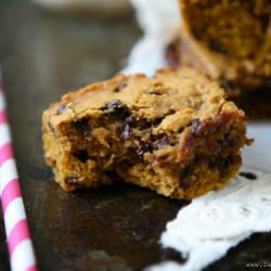 Pumpkin Chocolate Chip Blondie Bars