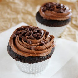 Chocolate Cupcakes