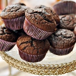 Chocolate Cupcakes