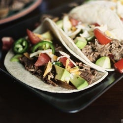 Shredded Pork Tacos