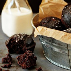 Chocolate Chocolate Chip Muffins