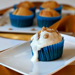 Pumpkin and Coconut Muffins