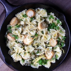 Pasta in a White Wine Cream Sauce