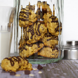 Pumpkin-Oatmeal Choc Chip Cookies