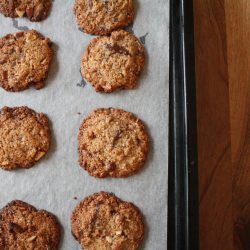 Chocolate Chip Cookies