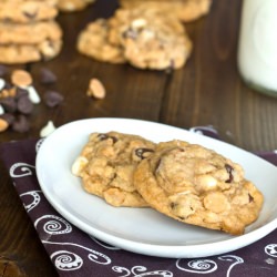 Butterscotch Pudding Cookies