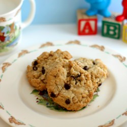 Coconut Chocolate Chip Cookies