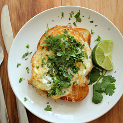 Cilantro and Lime Fried Egg on Toast
