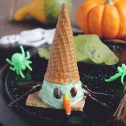 Wicked Frozen Witch of The West
