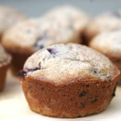 Perfect Blueberry Muffins