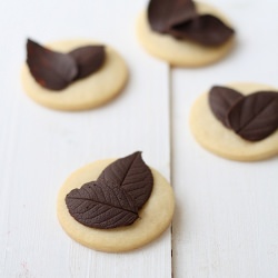 Cookies w/ Chocolate Leaves