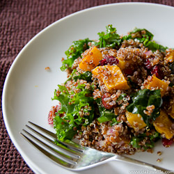 Butternut Quinoa w/ Cranberries