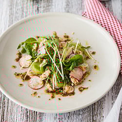 Radish, Green Tomato & Tuna Salad