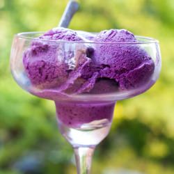 Berry Frozen Yogurt