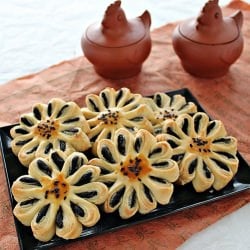 Chrysanthemum Crisp