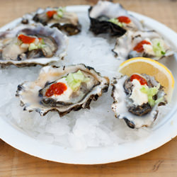 How to Shuck an Oyster