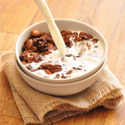Nut and Honey Coconut Granola