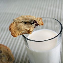 Chocolate Chip Pecan Cookies