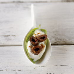Burrata Appetizers