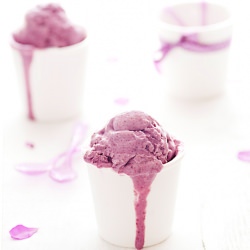 Blueberry Ice Cream