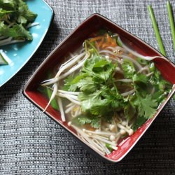 Asian Buckwheat Soba Noodle Soup