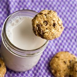 Choc. Chip Coconut Oatmeal Cookies