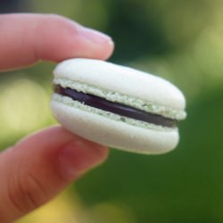Chocolate Peppermint Macarons