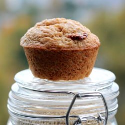Cranberry Quinoa Muffins