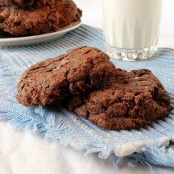 Double Chocolate Chip GF Cookies