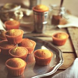 Pumpkin Cupcakes