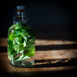 Peppermint Palenka