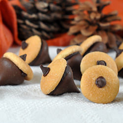 Chocolate Acorns
