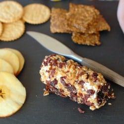 Cranberry Pecan Goat Cheese Roll