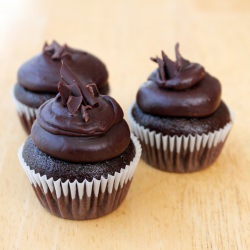 Mini Chocolate Cupcakes