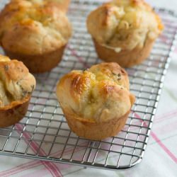Rosemary Dinner Roll