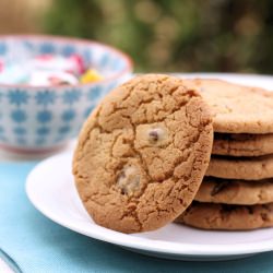 Best Ever Chocolate Chip Cookies
