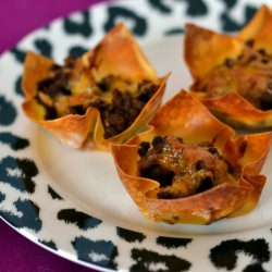 Taco Bites