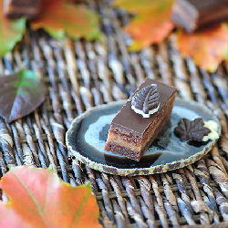 No-Bake Chestnut Bars