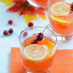 Sparkling Cranberry Cocktail