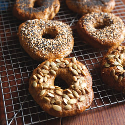 Pumpkin Bagels