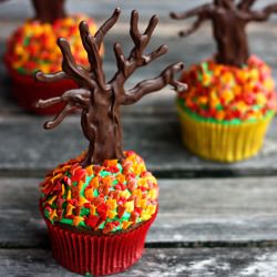End of Fall Cupcakes