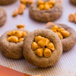 Soft Gingersnaps