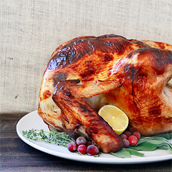 Apple Cider Sage Turkey Brine