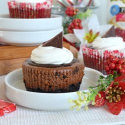 Cherry Chocolate Cheesecakes