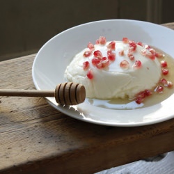 Yogurt Panna Cotta