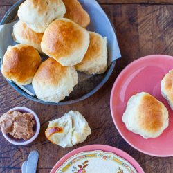 Honey Dinner Rolls