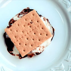 Greek Yogurt S’mores