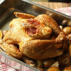 Lemon Thyme Roast Chicken