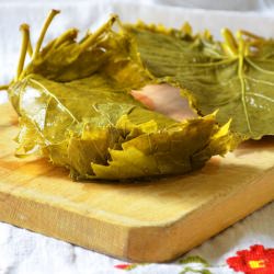 Grape Leaves